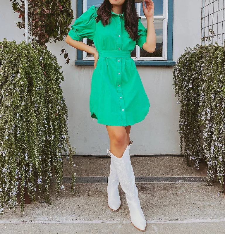 Central Park Mini Dress In Green